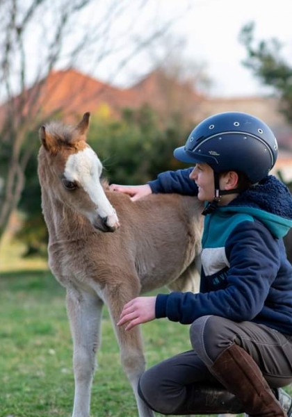 Pony Club