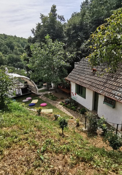 Roca Brună