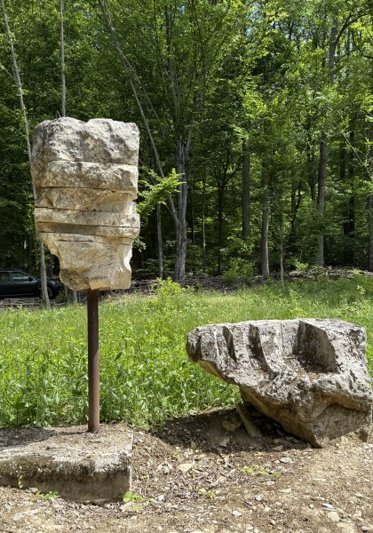 The sculpture park from Căsoaia