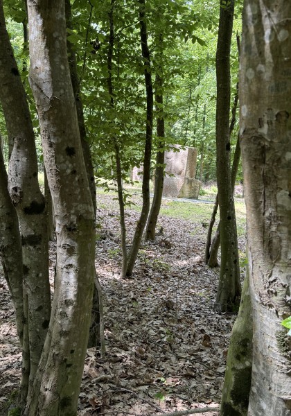 The sculpture park from Căsoaia