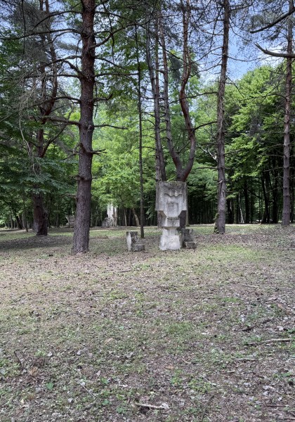 The sculpture park from Căsoaia