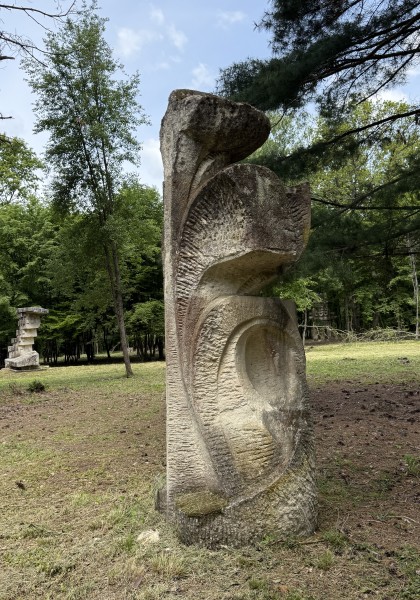 The sculpture park from Căsoaia