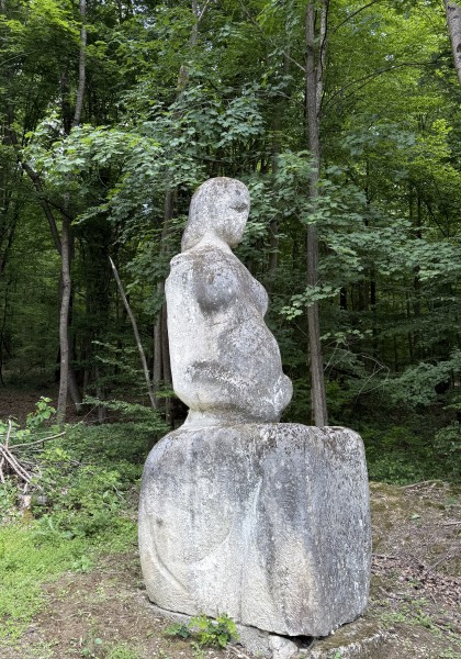 The sculpture park from Căsoaia