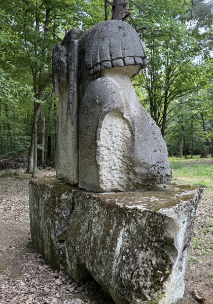 The sculpture park from Căsoaia