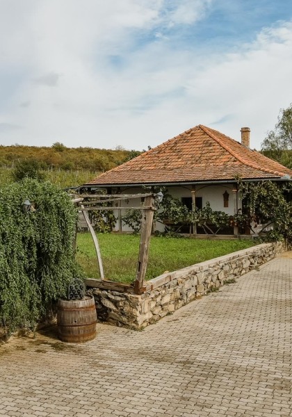 Pivnițele Birăuaș