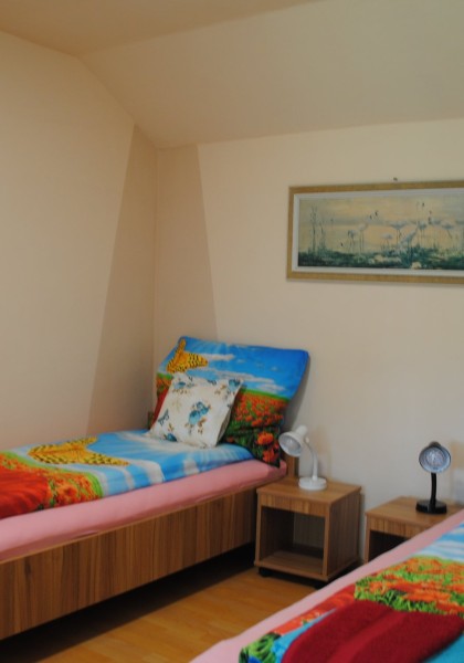 Casa „Flori de Nuc”