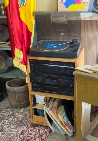 Muzeul Satului