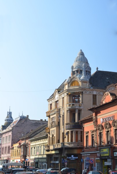 The Bohuș Palace