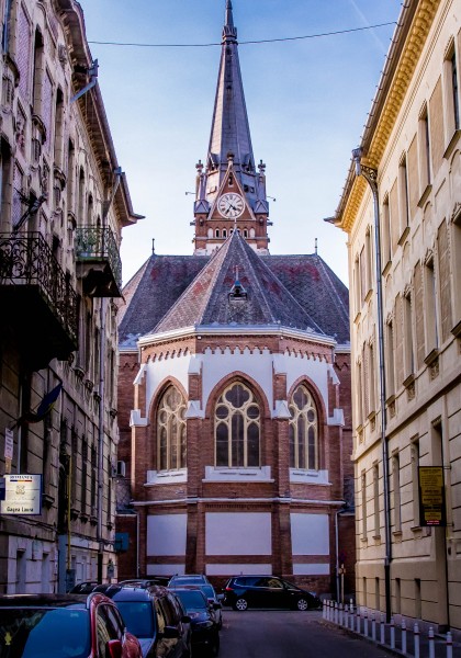 The lutheran church