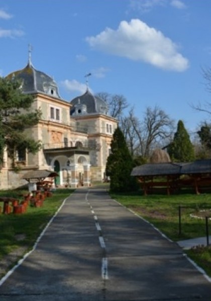 Das Cernovici Schloss