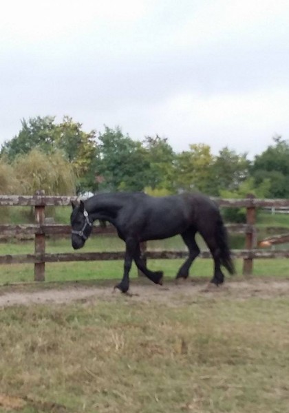 Pony Express Ranch