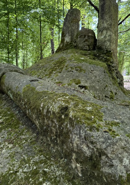 The sculpture park from Căsoaia