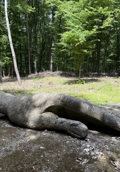 The sculpture park from Căsoaia
