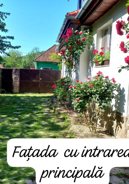 Casa Maximus