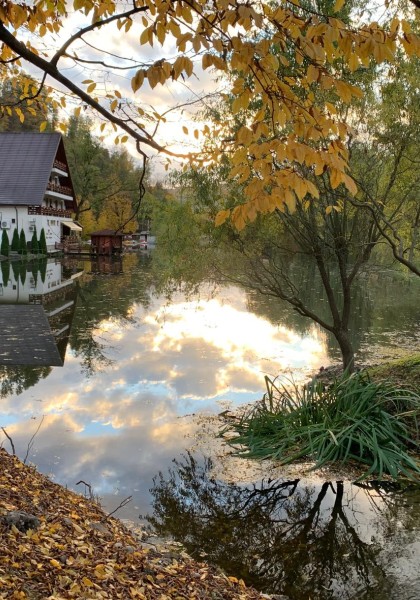 Pensiunea „Lacul liniștit”