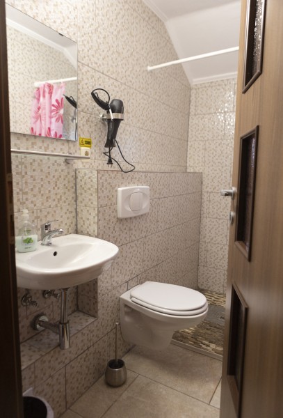 The „Flori de Nuc” Guest house