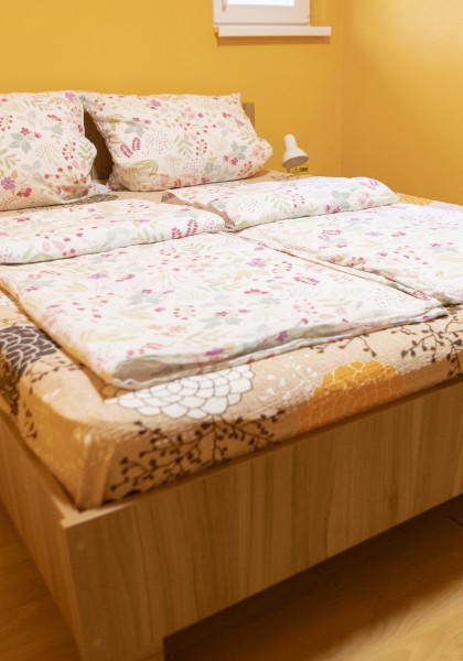 The „Flori de Nuc” Guest house