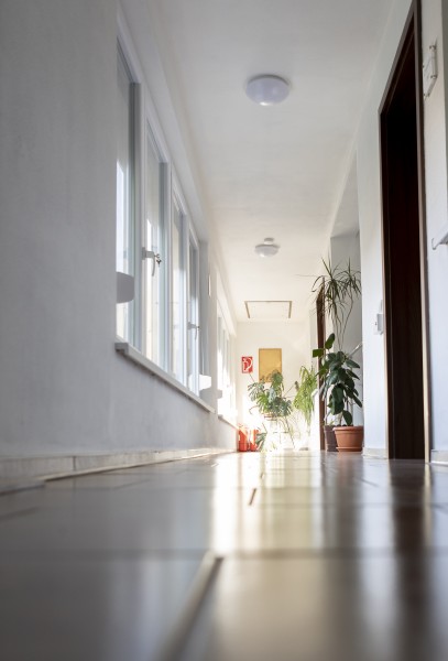 The „Flori de Nuc” Guest house