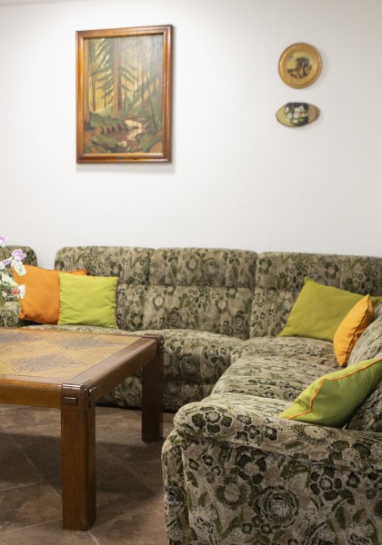 The „Flori de Nuc” Guest house
