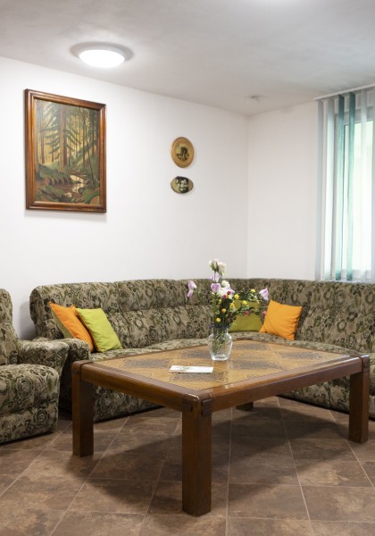 The „Flori de Nuc” Guest house