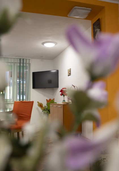 The „Flori de Nuc” Guest house