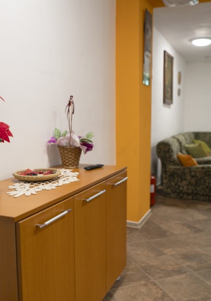The „Flori de Nuc” Guest house