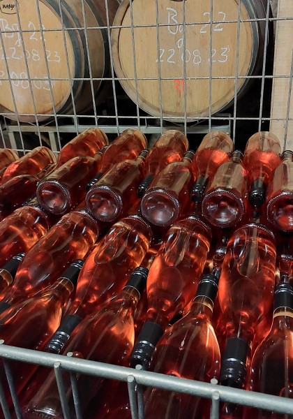Elite Wine Winekeller