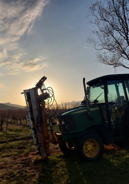 Elite Wine Winekeller