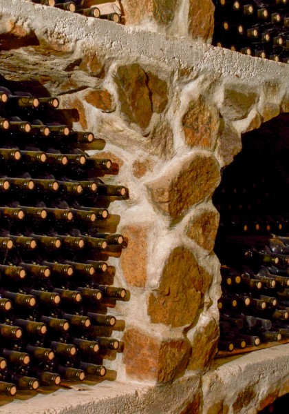 Elite Wine Winekeller