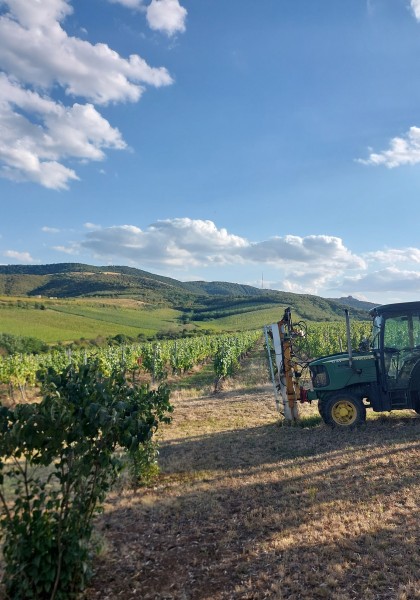 Elite Wine Winekeller