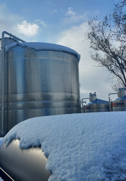 Elite Wine Winekeller