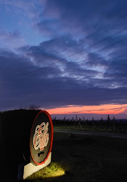 Elite Wine Winekeller