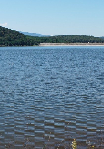 The Tauț Lake