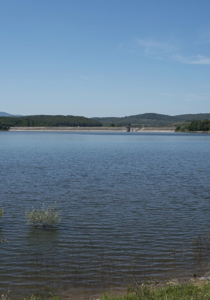 Lacul Tauț