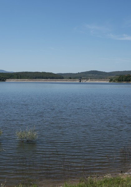 The Tauț Lake