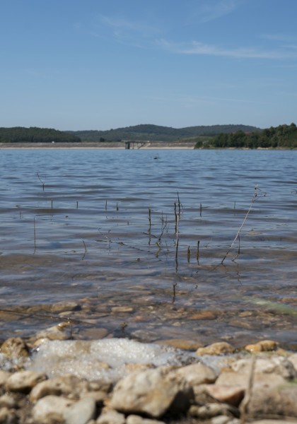 The Tauț Lake