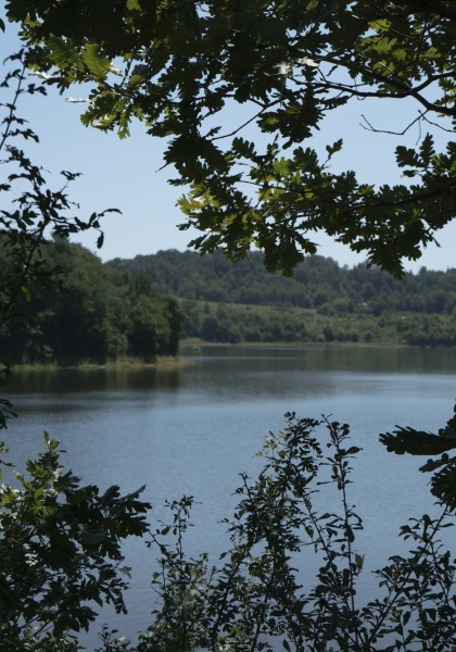 The Tauț Lake