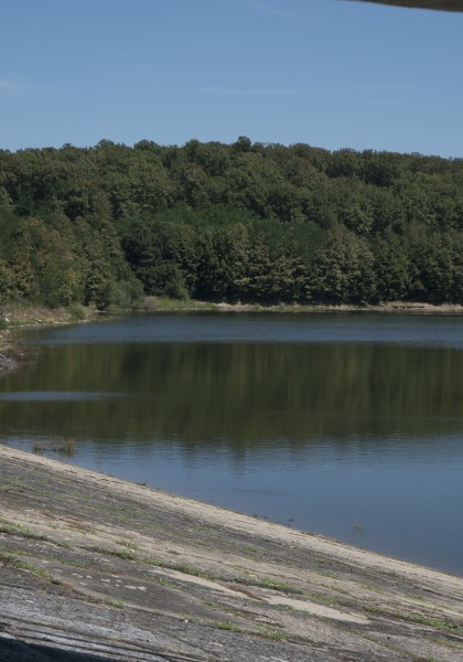 The Tauț Lake